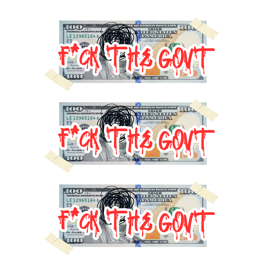 F*CK THE GOVT STICKER